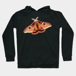 Emperor Moth Insect Illustration Hoodie